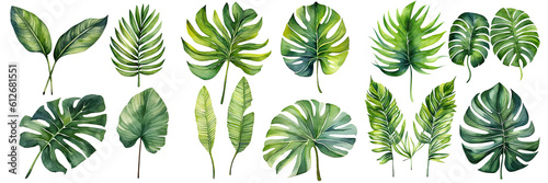 watercolor leaves set, watercolor botanical painting. Jungle illustrations, monstera and banana leaf. Tropical green plant , transparent background, PNG ,Generative AI