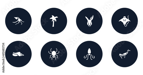 free animals filled icons set. flat filled icons sheet included wild octopus, plain palm tree, kangaroo head, stingray with long tail, seashell conch, poisonous spider, giant squid, grasshopper