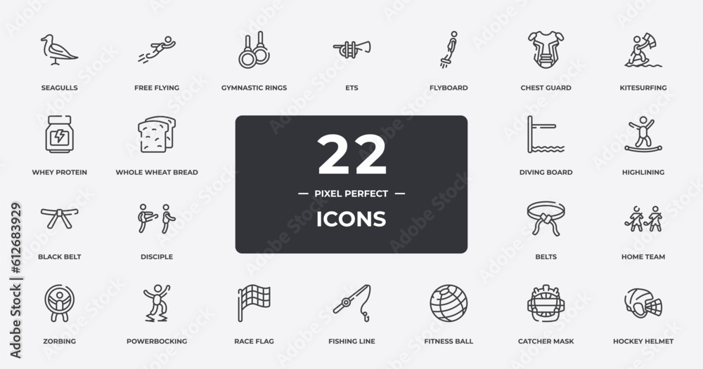 hockey outline icons set. thin line icons sheet included seagulls, gymnastic rings, flyboard, kitesurfing, highlining, powerbocking, catcher mask, hockey helmet vector. hockey outline icons set. thin line icons sheet included seagulls, gymnastic rings, flyboard, kitesurfing, highlining, powerbocking, catcher mask, hockey helmet vector.