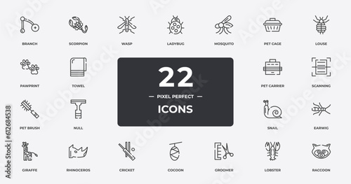 animals outline icons set. thin line icons sheet included branch, wasp, mosquito, louse, scanning, rhinoceros, lobster, raccoon vector.