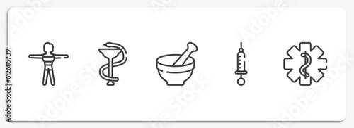 in the hospital outline icons set. thin line icons sheet included female body, phary, medicines bowl, syringe with medicine, star of life vector.