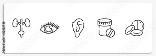 medical icons outline icons set. thin line icons sheet included excretory system, eye with enlarged pupil, ear, dentist drugs container, drugs capsules and pills vector.