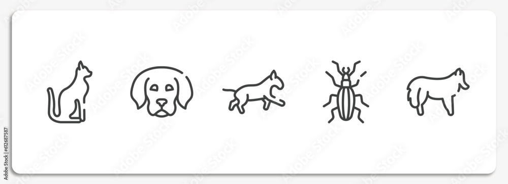 dog breeds heads outline icons set. thin line icons sheet included egyptian cat, dog puppy, bulterrier, null, shetland sheepdog vector. dog breeds heads outline icons set. thin line icons sheet included egyptian cat, dog puppy, bulterrier, null, shetland sheepdog vector.
