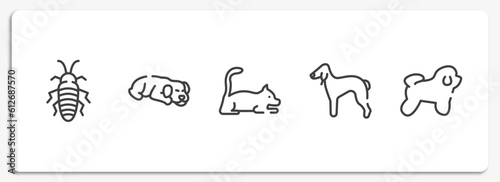 dog breeds fullbody outline icons set. thin line icons sheet included madagascan, dog sleeping, laying cat, bedlington terrier, bichon frise vector.