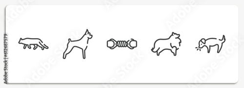 dog and training outline icons set. thin line icons sheet included snowshoe cat, boxer, pet toy, sheltie, dog smelling dog vector.