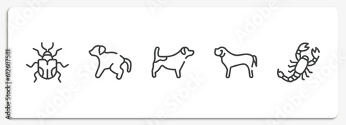 insects outline icons set. thin line icons sheet included null, scold the dog, jack russel terrier, english mastiff, scorpio vector.