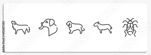 dog breeds fullbody outline icons set. thin line icons sheet included bernese mountain dog, dog licking, english cocker spaniel, bullterrier, null vector.