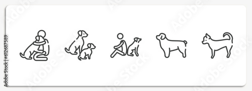 dog and training outline icons set. thin line icons sheet included null, dog and doggie, dog and man seating, newfoundland, chihuahua vector.