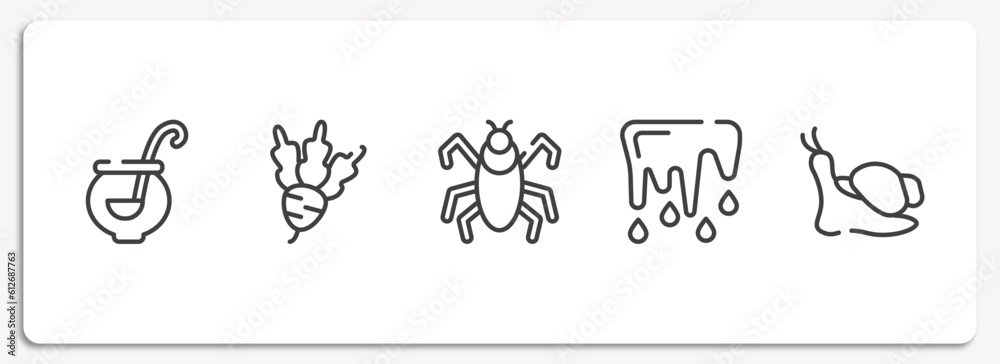 pets outline icons set. thin line icons sheet included punch bowl, beet, insect, thaw, snails vector. pets outline icons set. thin line icons sheet included punch bowl, beet, insect, thaw, snails vector.