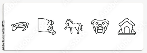 woof woof outline icons set. thin line icons sheet included swimming turtle, hog head, horse with leg up, angry bulldog face, dog kennel vector.