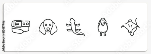 free animals outline icons set. thin line icons sheet included belt and buckle, dog with floppy ears, curved lizard, sheep front view, stingray with long tail vector.