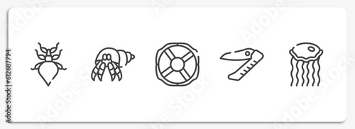 diving outline icons set. thin line icons sheet included leaf insect, hermit crab, lifebuoy, swiss army knife, medusa vector.