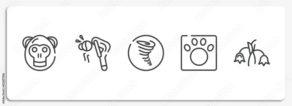 nature outline icons set. thin line icons sheet included orangutan, fatigue, tornado, veterinarian, harebell vector. nature outline icons set. thin line icons sheet included orangutan, fatigue, tornado, veterinarian, harebell vector.