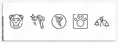 nature outline icons set. thin line icons sheet included orangutan, fatigue, tornado, veterinarian, harebell vector.