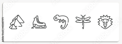 animals outline icons set. thin line icons sheet included pyramid, ice skate, chameleon, dragonfly, hedgehog vector.