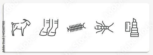 pet grooming outline icons set. thin line icons sheet included goat, hoof, centipede, earwig, balm vector.