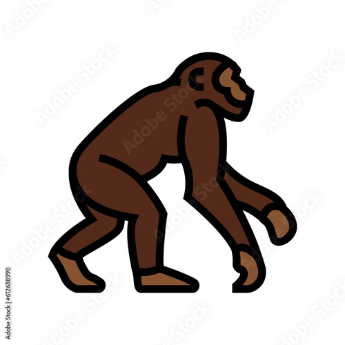 primate ancestors human evolution color icon vector. primate ancestors human evolution sign. isolated symbol illustration