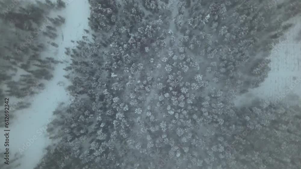 Drone drops down and spins around while capturing unspoiled winter nature Drone drops down and spins around while capturing unspoiled winter nature