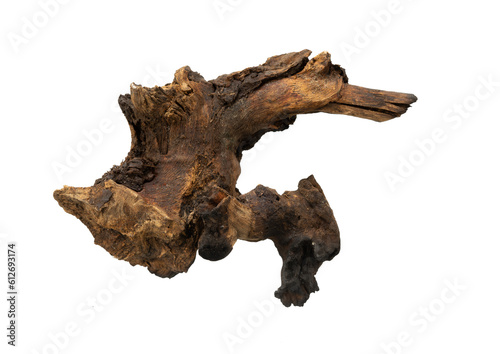 Pieces of artistic dead wood isolated