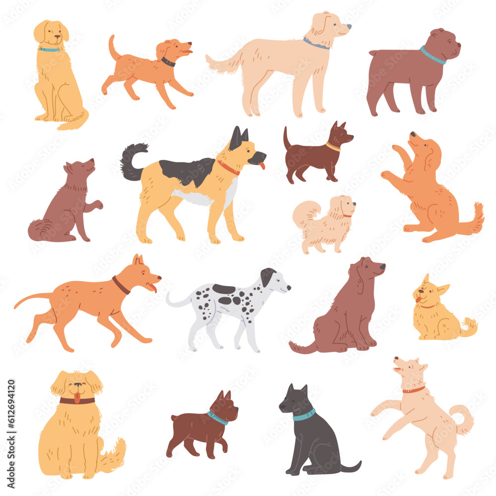 Set of dogs of different breeds flat vector illustration isolated on white.