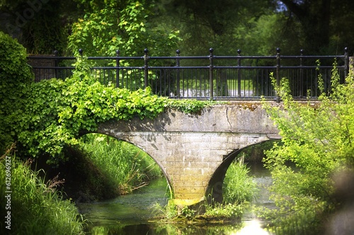 Photography A bridge that leads to magical things in Ireland