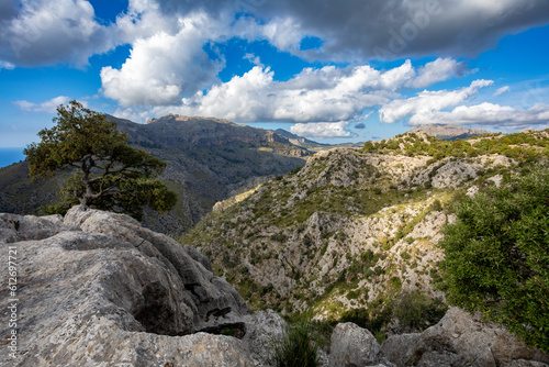 Mirador Coll de Reis, Nudo de Corbata, Serra de Tramuntana mountain, Balearic Islands Mallorca Spain. Travel agency vacation concept. © ArtushFoto