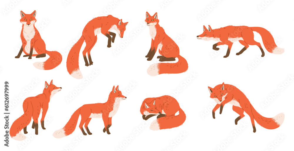Set of cute funny foxes in different poses flat style, vector illustration