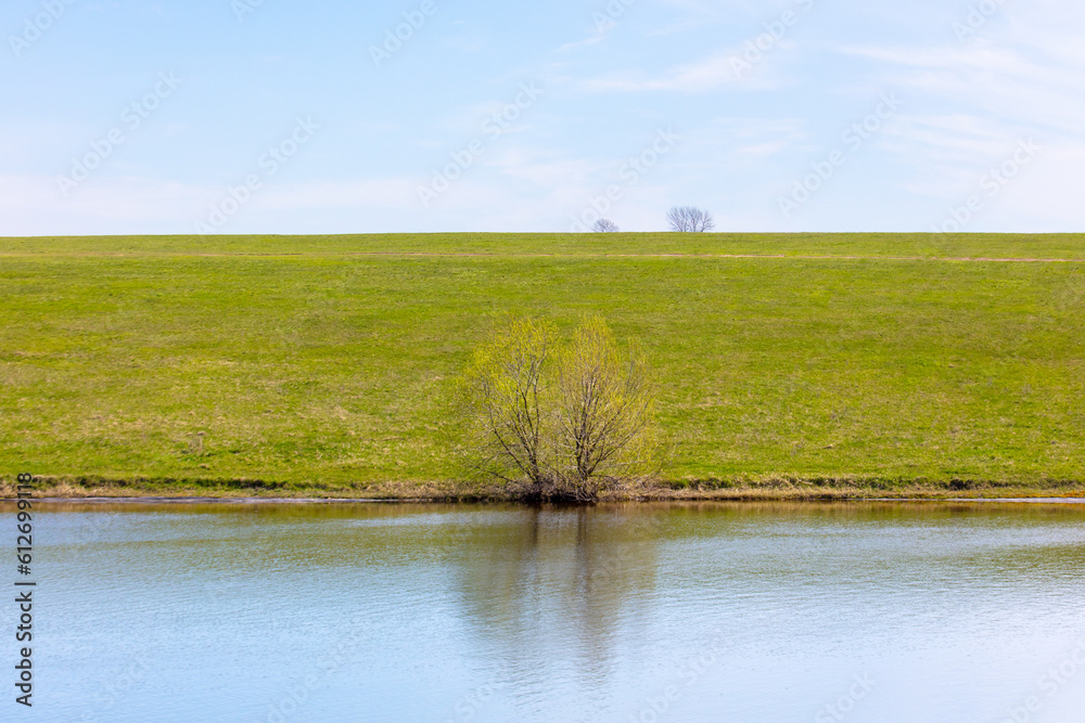 Fototapeta premium Spring landscape with a pond in the middle of green grass and blue sky