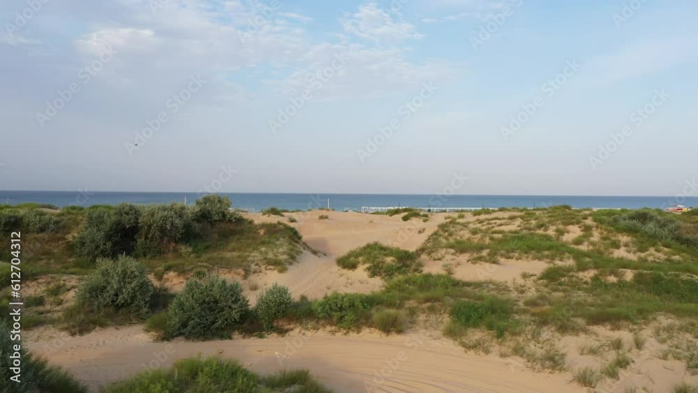 A shot of a beautiful sandy ocean beach. sand dunes by the ocean with dense, colorful vegetation. Fresh dense grass on a sandy beach by the ocean. A shot of a beautiful sandy ocean beach. sand dunes by the ocean with dense, colorful vegetation. Fresh dense grass on a sandy beach by the ocean.