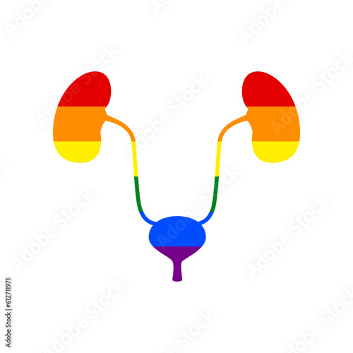 Urogenital system sign. Rainbow gay LGBT rights colored Icon at white Background. Illustration.