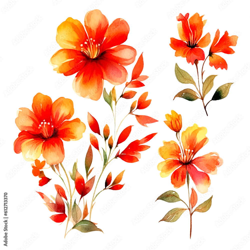Fototapeta premium set of floral watercolor red orange, flower watercolor, leaf watercolor