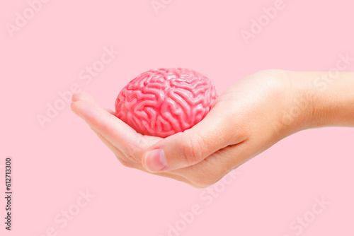 Toy Human Brain Model in Hand on Pink Backdrop