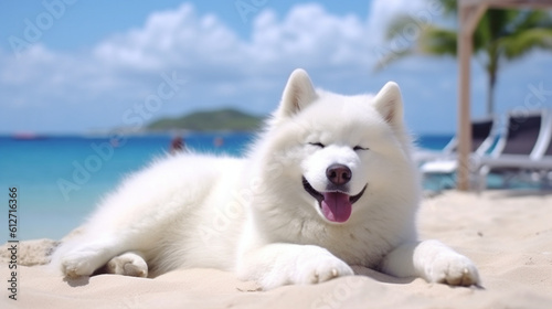 Samoyed Husky dog on the beach, Hawaiian style, Summer beach and recreation, beach background, Relaxing on the beach, Dogs on vacation, AI generated