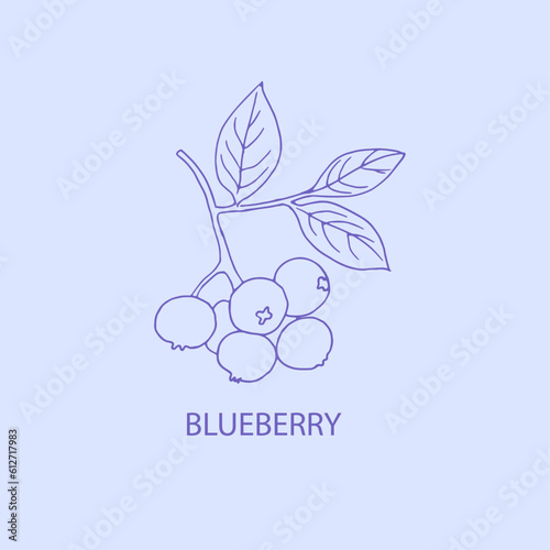 Blueberry, berry logo, blueberries illustration, line art logo, berries, package design, hand drawn 