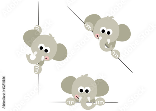 Adorable elephant peeking out from behind in various positions