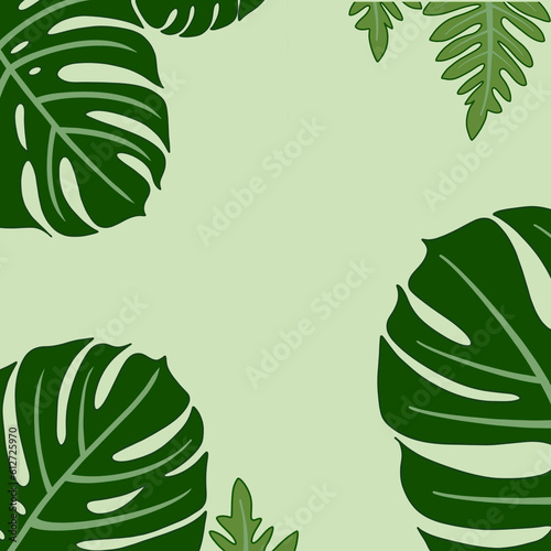 Leaves come in a simple background image