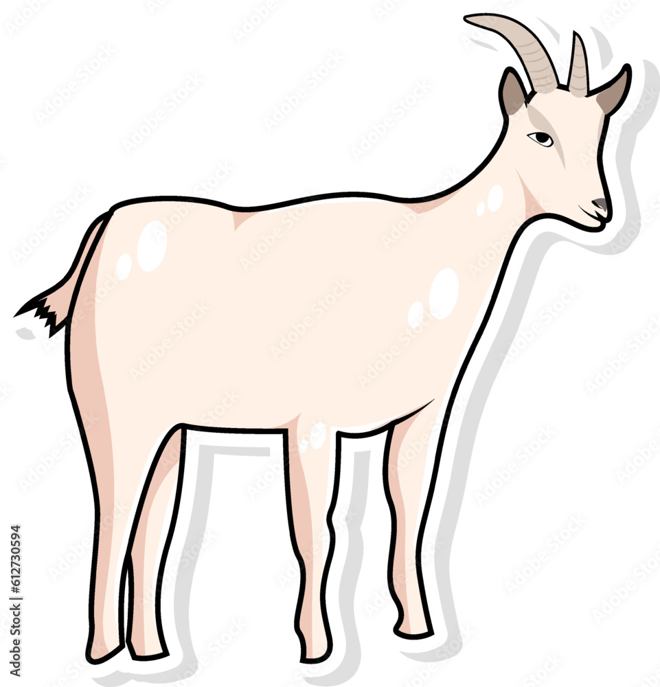 Obraz premium Goat Vector Illustration
