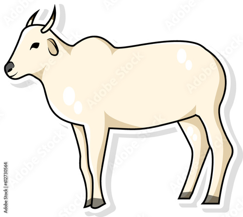 Cow Vector Illustration