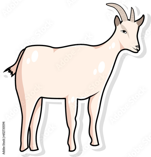 Goat Vector Illustration