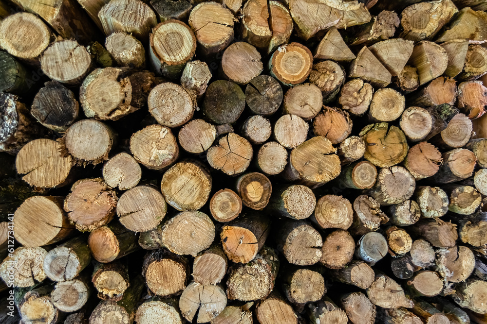 Photography on theme big wall of stacked oak tree logs in cracks Photography on theme big wall of stacked oak tree logs in cracks