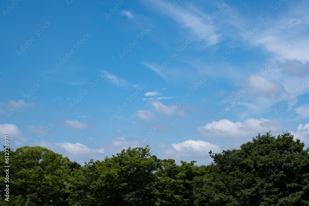 夏、梅雨明け、さわやかな晴天の青空と折り重なったふわふわの積乱雲、新緑の森林、山の木々の背景　夏休み・天気・アウトドア・旅行・バカンスのイメージ