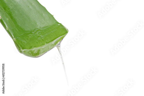 Leaf of green fresh aloe vera with dripping clear gel. On a white background.