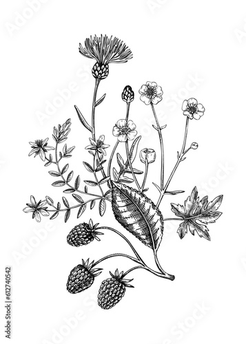 Fotografie Summer flowers bouquet in sketch style