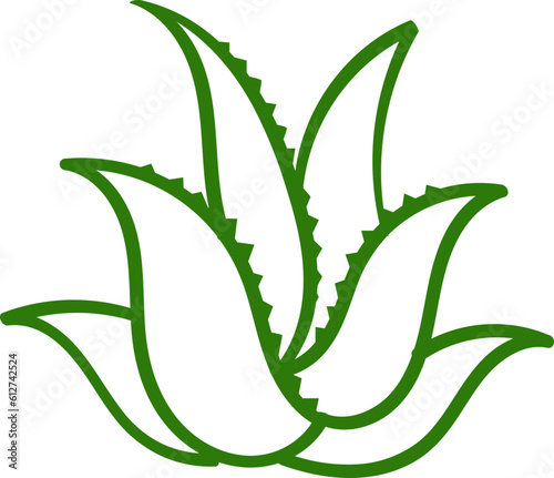 aloe vera leaf graphic line