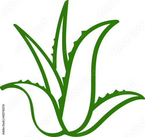 aloe vera leaf graphic line