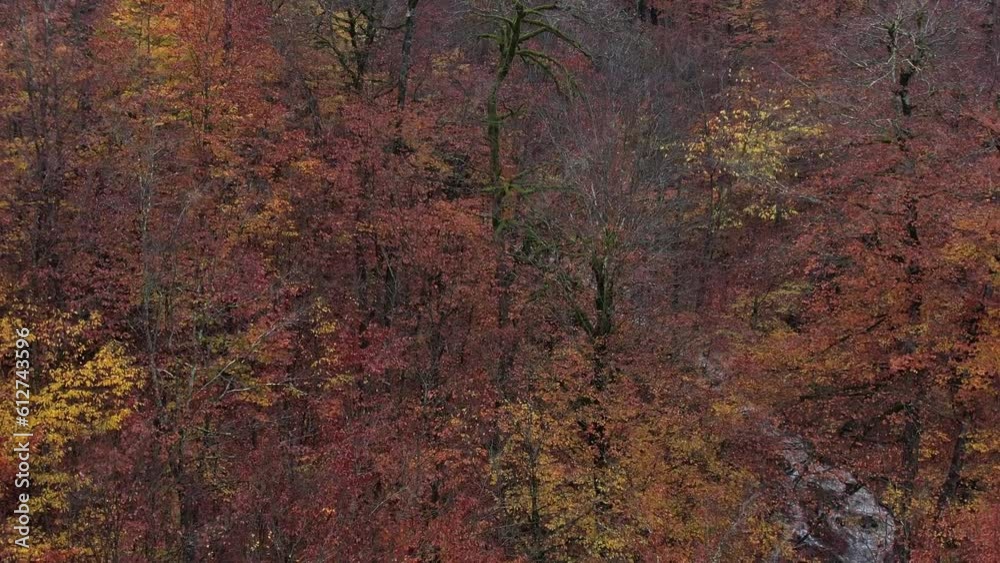 Iran: A view from a drone capturing a waterfall cascading through a colorful forest. Iran: A view from a drone capturing a waterfall cascading through a colorful forest.
