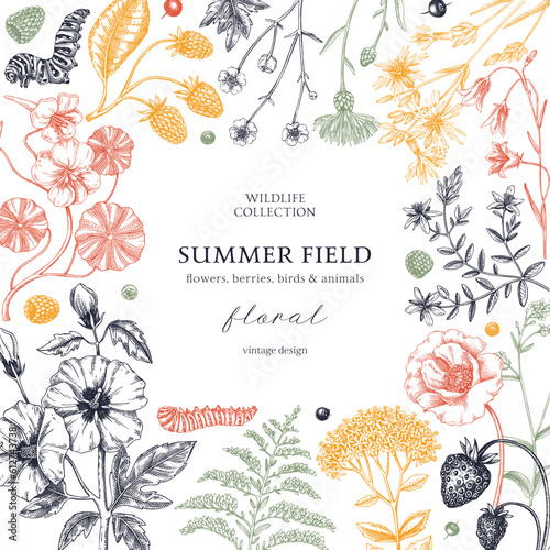 Summer background in color. Floral frame design in sketch style. Botanical drawings of wildflowers, herbs, meadows, berries. Vintage field of flowers hand-drawn illustrations for wedding invitation.