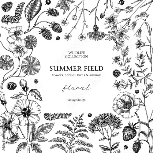 Summer background in color. Floral frame design in sketch style. Botanical drawings of wildflowers, herbs, meadows, berries. Vintage field of flowers hand-drawn illustrations for wedding invitation.