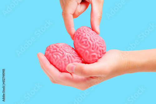 Mental Pressure  Human Brain Models Squeezed with Fingers