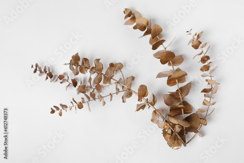 Shiny golden branch with leaves on white background, top view. Decor element